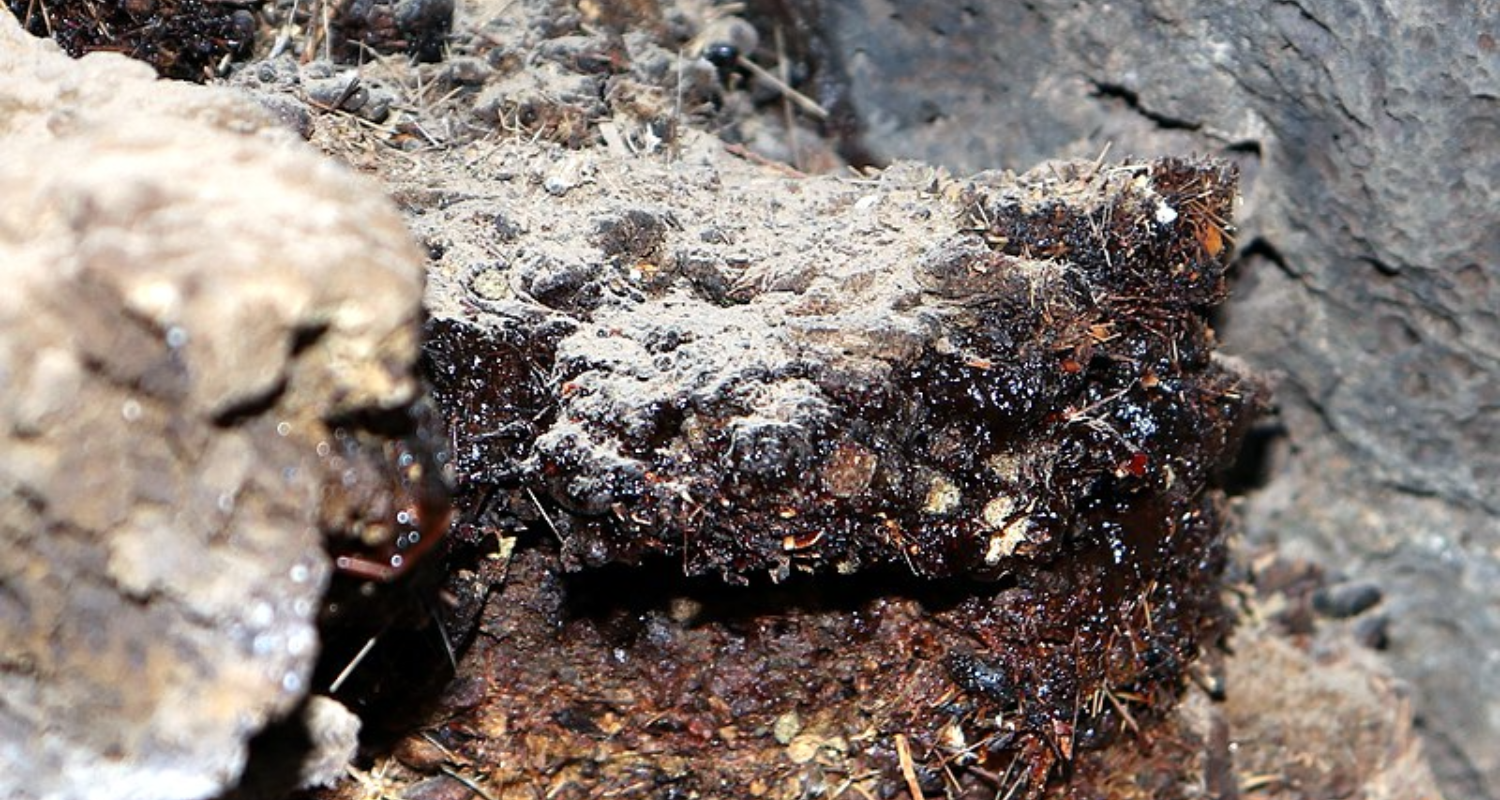 Does the Origin of Shilajit Affect Its Potency A Buyers Guide to Choosing the Best Quality