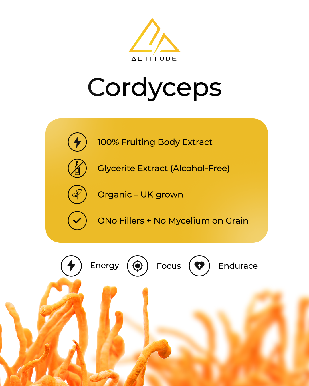 Cordyceps - Organic Dropper