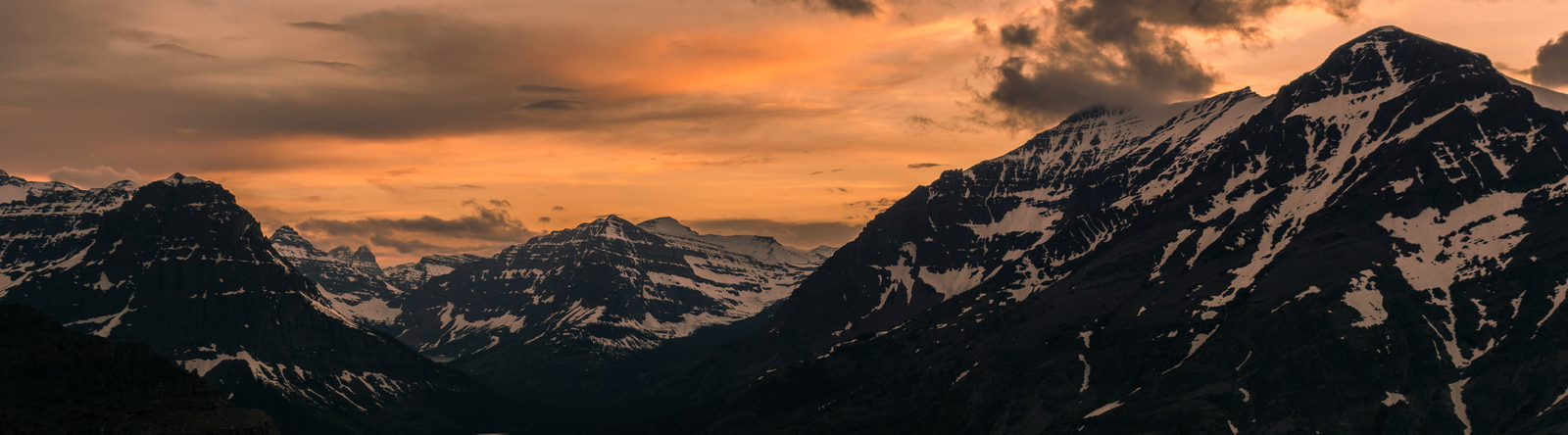 How Shilajit and Black Seed Oil Stack Up: The Ancient vs the Modern: