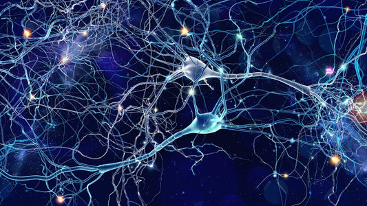 The Neuroscientific Potential of Shilajit and the Blood Brain Barrier