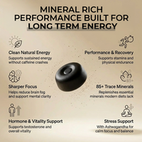 Altitude Himalayan Shilajit Gummies