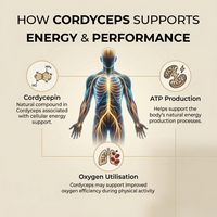 Cordyceps - Organic Dropper
